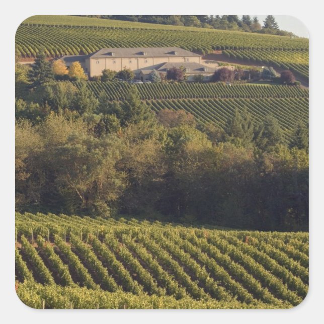 Sticker Carré Un bâtiment en bronzage au sommet du tir à l'arc s (Devant)