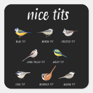 Sticker Carré Un cadeau amusant pour observer les oiseaux d'orni