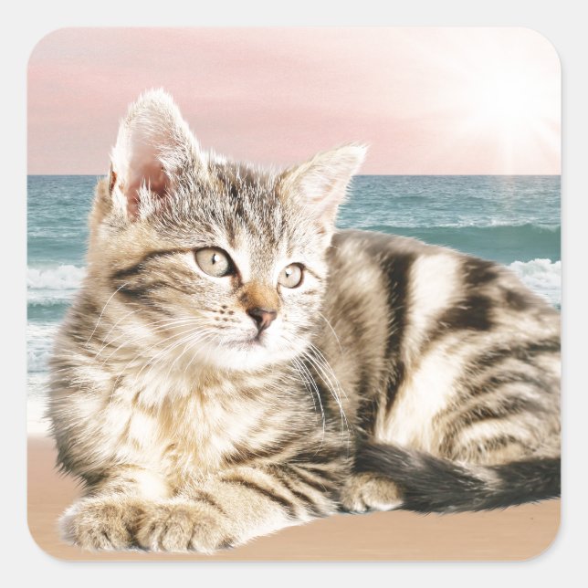 Sticker Carré Un chat rayé plus mignon assis sur la plage au cou (Devant)