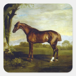 Sticker Carré Un hippocampe de châtaignes par George Stubbs