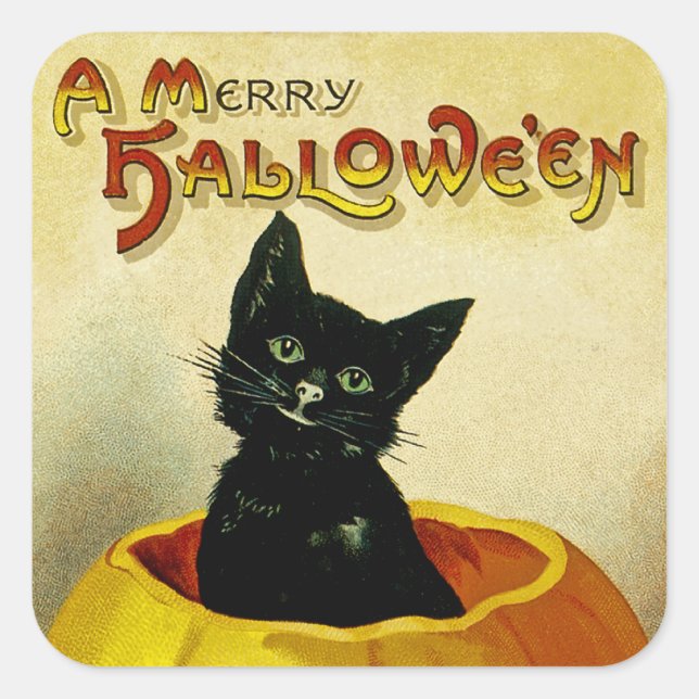 Sticker Carré Un joyeux Kitten Halloween (Devant)