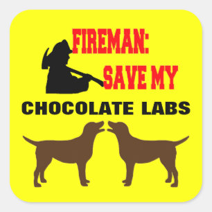 Sticker Carré Un pompier sauve mes deux chiens de laboratoire au