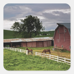 Sticker Carré Une balade à travers la campagne agricole de Palou