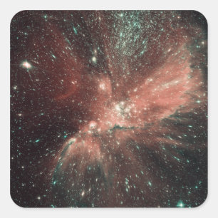 Sticker Carré Une population de nourrisson se tient le premier