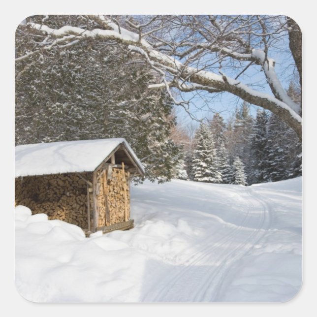 Sticker Carré Une scène enneigée au Little Lyford Pond de l'AMC (Devant)