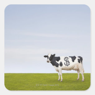 Sticker Carré Une vache laitière Holstein avec des taches en for