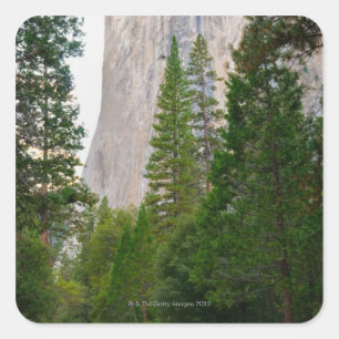 Sticker Carré USA, Californie, Parc national de Yosemite, El 4