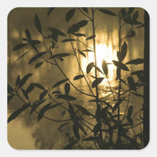 Sticker Carré USA, Géorgie, Callaway Gardens, Sunrise