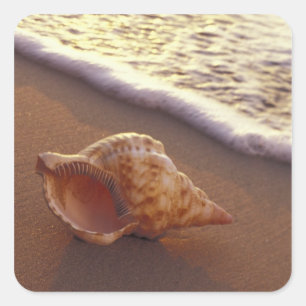 Sticker Carré USA, Hawaii, Maui, Kihei, Lumière du soir sur