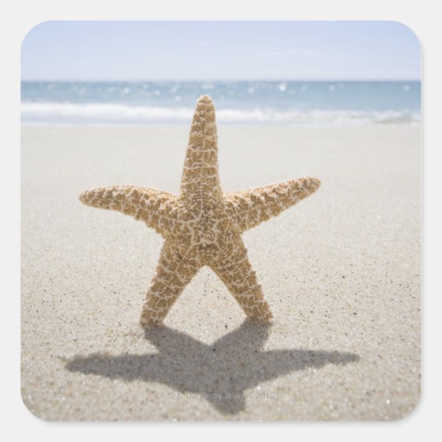 Sticker Carré USA, Massachusetts, Cape Cod, Nantucket, fermeture (Devant)