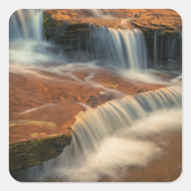 Sticker Carré USA, Utah, Zion National Park. Pittoresque à parti (Devant)