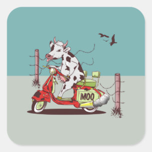 Sticker Carré Vache à vélo