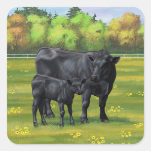 Sticker Carré Vache d'Angus noir et veau mou en pâturage d'été