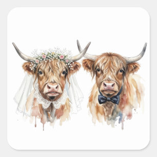 Sticker Carré Vaches Highland au mariage en aquarelle