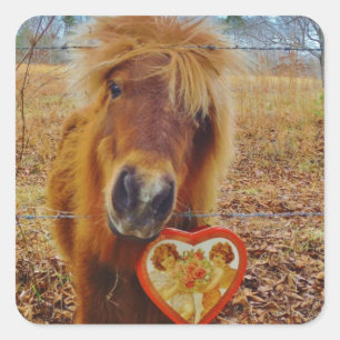 Sticker Carré Valentine Heart Miniature Brown Horse