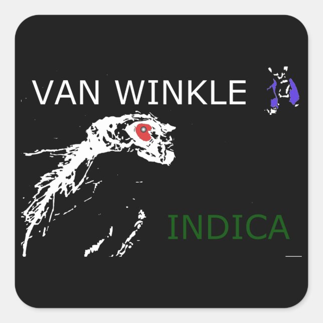 STICKER CARRÉ VAN WINKLE INDICA (Devant)