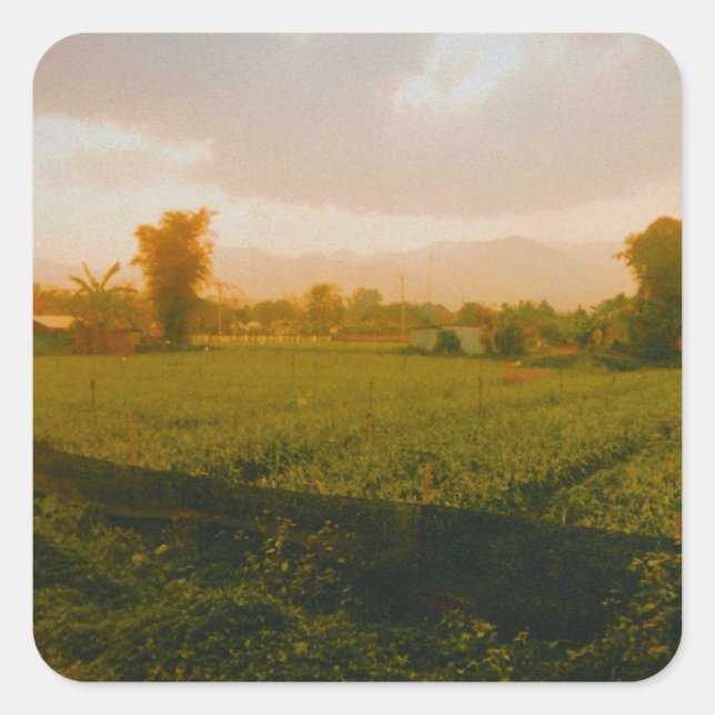 Sticker Carré Vang Vieng - Laos  (Devant)