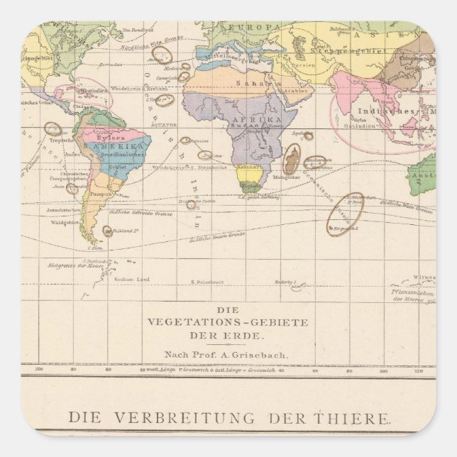 Sticker Carré Vegetationsgebiete, Thiere Carte Atlas (Devant)
