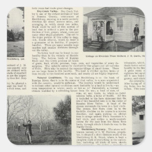 Sticker Carré Verger de pruneau de Riverdale, la Californie