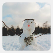 Véritable photo de snowman