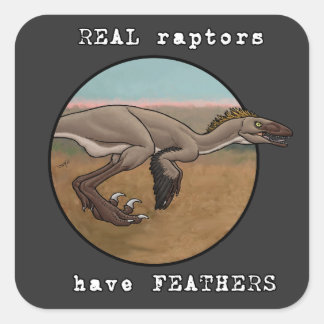 Sticker Carré Véritables Rapaces