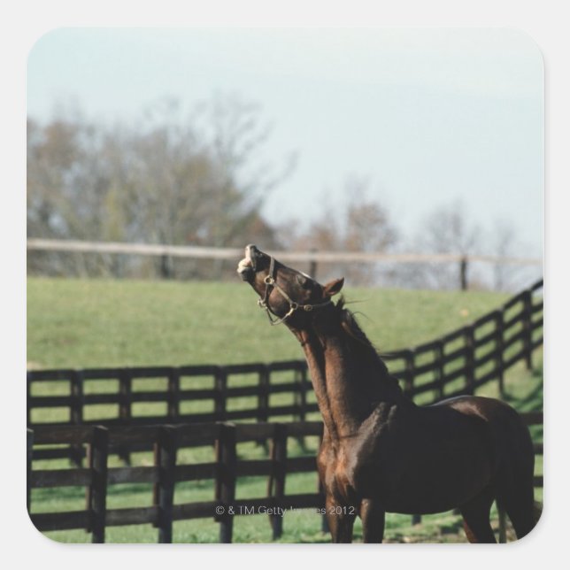 Sticker Carré Vermont, États-Unis 2 (Devant)