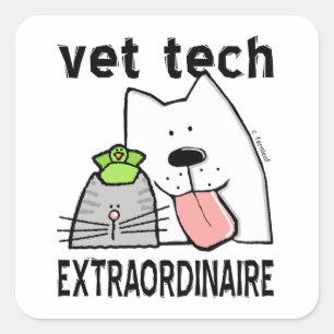 Sticker Carré Vet Tech Extraordinaire