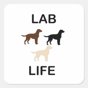 Sticker Carré vie de laboratoire toutes les couleurs silhouettes