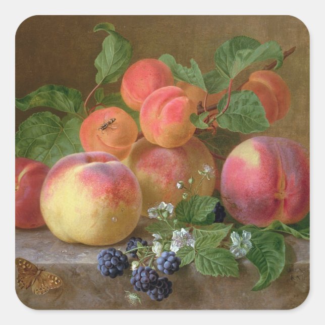 Sticker Carré Vie morte des pêches (Devant)