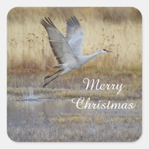 Sticker Carré Viens voler avec moi, Joyeux Noël