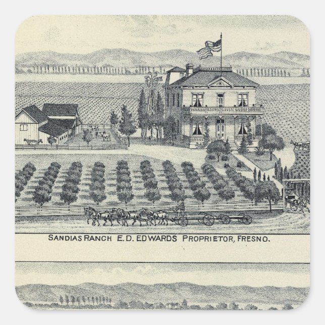 Sticker Carré Vignoble de Haie Row, Fresno (Devant)