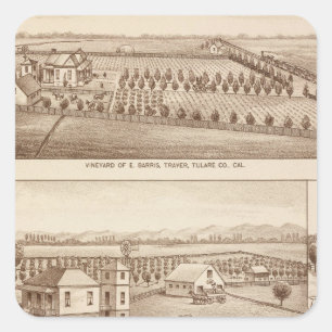 Sticker Carré Vignobles, ranch, Tulare Co, Calif