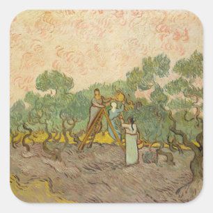Sticker Carré Vincent van Gogh - Femmes cueillant des olives