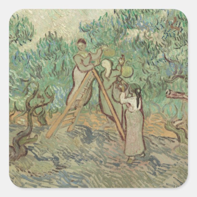 Sticker Carré Vincent Van Gogh | L'Orchard Olivier (Devant)