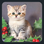 Sticker Carré Vintage Christmas Kitten et Holly<br><div class="desc">Stickers avec un chaton de Noël vintage et saint ! Un adorable chaton aux yeux verts pose avec des bouges de saint. Un joyeux cadeau pour la saison de Noël et les amoureux de les chats!</div>
