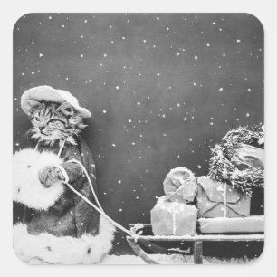 Sticker Carré Vintage hiver Noël Père Noël Cat avec Sleigh