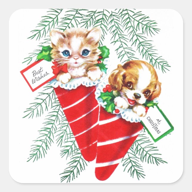 Sticker Carré Vintage Mid Century Beau bébé Chiot Kitten (Devant)
