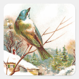 Sticker Carré Vintage oiseau bleu hiver