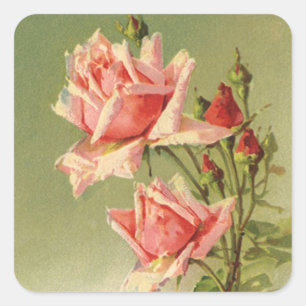 Sticker Carré Vintage Valentine's Day Pink Victorian Garden Rose
