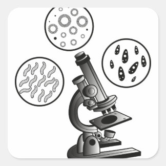Sticker Carré Virus microscope
