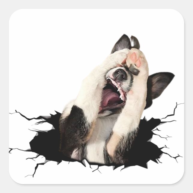 Sticker Carré visage de chien de Fanny (Devant)