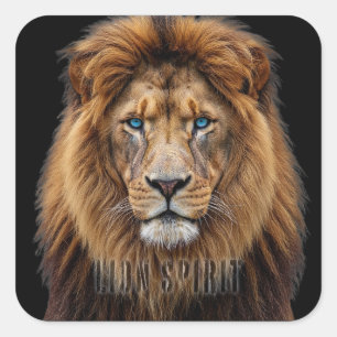 Sticker Carré Visage de lion majestueux aux yeux bleus   Faune A