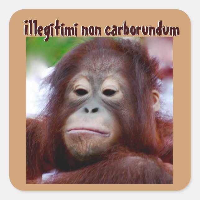 Sticker Carré Visages animaux : Illégitimi non carborundum (Devant)