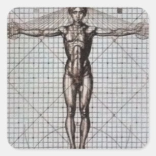 Sticker Carré Vitruvian Man (Vitruvius : De architectura)