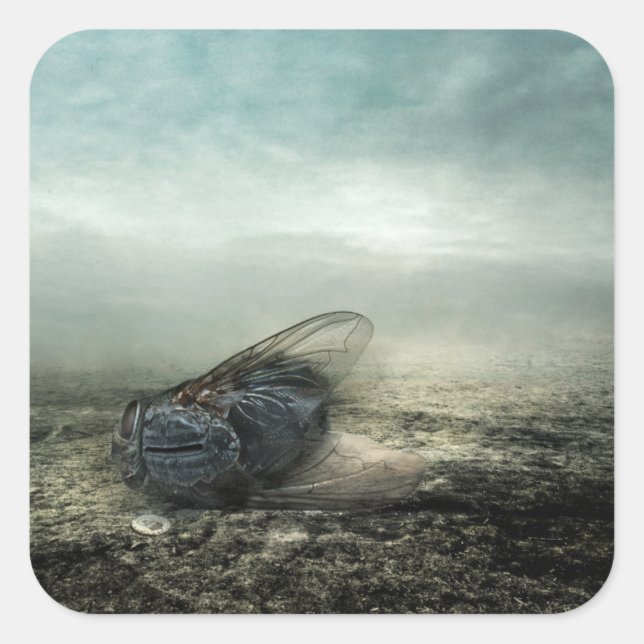 Sticker Carré Vol 2013 (Devant)