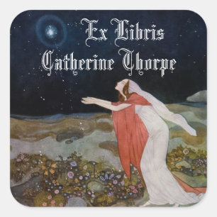 Sticker Carré Voleurs de l'autocollant de plaque légère