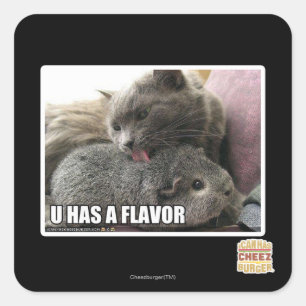 STICKER CARRÉ VOUS AVEZ UNE SAVEUR
