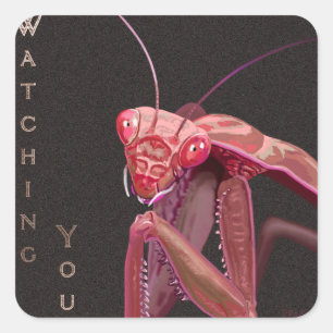 Sticker Carré Vous regarder - Version rose