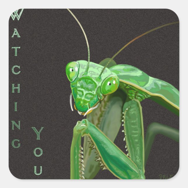 Sticker Carré Vous regarder - Version verte (Devant)