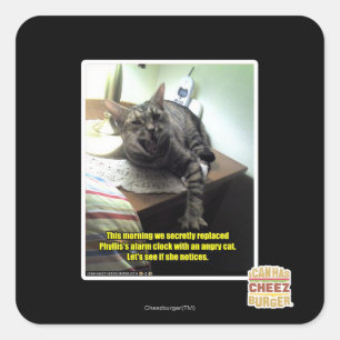 Sticker Carré Voyons si elle le remarque.